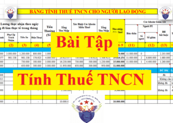 Bài tập tính thuế thu nhập cá nhân có lời giải mới nhất 2025