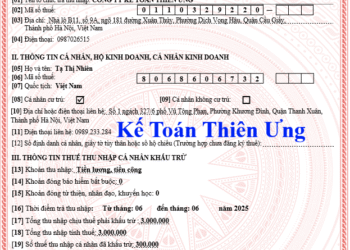 Quy định về chứng từ khấu trừ thuế TNCN điện tử 2025