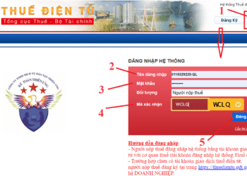 Cách nộp tiền thuế TNCN qua mạng điện tử bằng mã ID mới nhất 2025