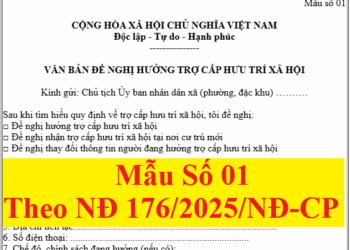 Mẫu đề nghị hưởng trợ cấp hưu trí xã hội