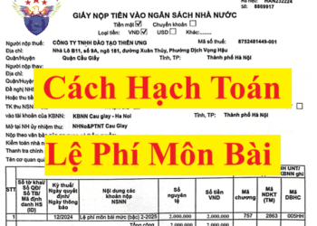 Cách hạch toán lệ phí môn bài phải nộp 2025