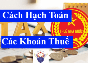 Cách hạch toán thuế và các khoản phải nộp nhà nước – Tài khoản 333