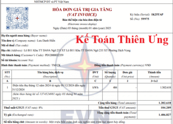 Mẫu hóa đơn tiền điện điện tử mới nhất năm 2025
