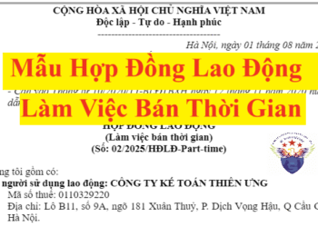 Mẫu hợp đồng lao động bán thời gian, làm việc Part Time 2025 mới nhất