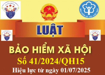 Luật bảo hiểm xã hội 2025 mới nhất số 41/2024/QH15