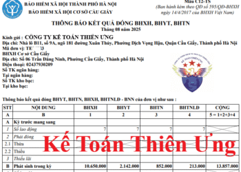 Mẫu C12-TS – Thông báo kết quả đóng BHXH, BHYT, BHTN, BHTNLĐ, BNN