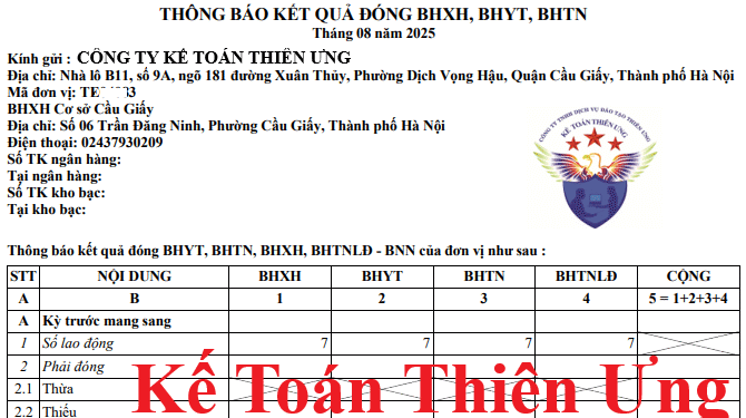 Mẫu C12-TS – Thông báo kết quả đóng BHXH, BHYT, BHTN, BHTNLĐ, BNN
