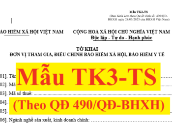 Mẫu TK3-TS mới nhất 2025 theo Quyết định 490/QĐ-BHXH