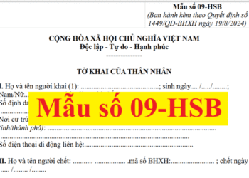 Mẫu số 09-HSB theo Quyết định số 1449/QĐ-BHXH