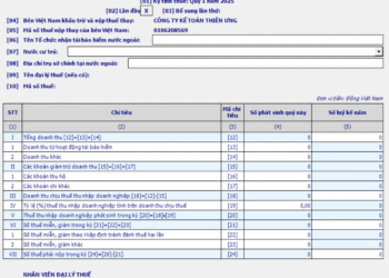 Mẫu 01/TBH Tờ khai thuế TNDN đối với tổ chức nhận tái bảo hiểm nước ngoài