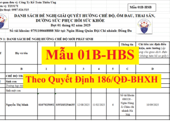 Mẫu 01B-HSB theo Quyết định 2222/QĐ-BHXH mới nhất 2025