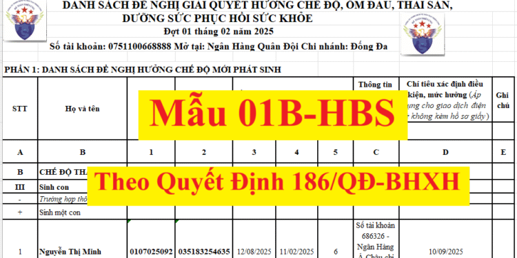 Mẫu 01B-HSB theo Quyết định 2222/QĐ-BHXH mới nhất 2025