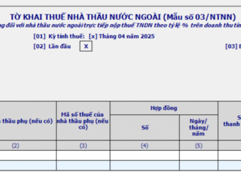 Mẫu 03/NTNN Tờ khai thuế nhà thầu nước ngoài