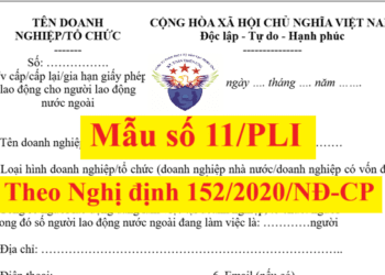 Mẫu số 11/PLI cấp giấy phép lao động cho người nước ngoài