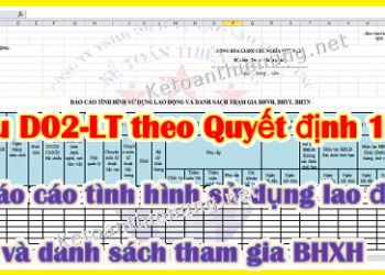 Mẫu D02-LT Báo cáo lao động tham gia BHXH theo QĐ 1040/QĐ-BHXH
