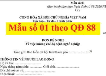 Mẫu số 01 theo Nghị định số 88/2020/NĐ-CP