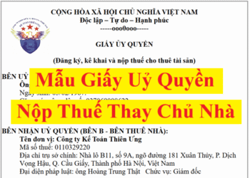 Mẫu giấy ủy quyền nộp thuế thay chủ nhà 2025 mới nhất
