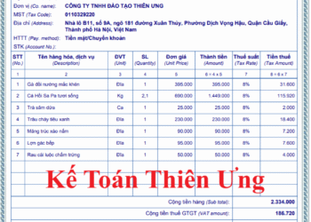 Mẫu hóa đơn giá trị gia tăng điện tử theo thông tư 78, NĐ 123