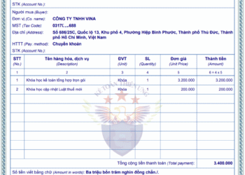 Mẫu hóa đơn bán hàng điện tử dành cho các công ty kê khai trực tiếp