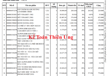 Mẫu hóa đơn điện tử có nhiều loại thuế suất