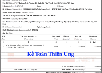 Mẫu hóa đơn điện tử không chịu thuế GTGT