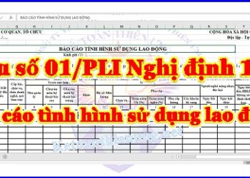 Báo cáo tình hình sử dụng lao động Mẫu số 01/PLI theo NĐ 145