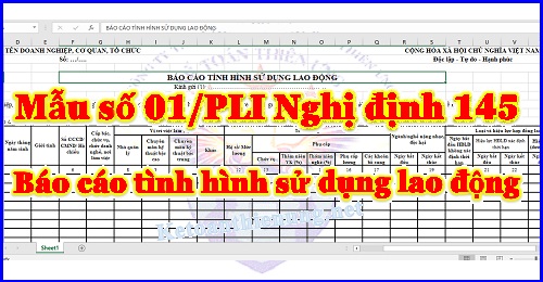 Báo cáo tình hình sử dụng lao động Mẫu số 01/PLI theo NĐ 145