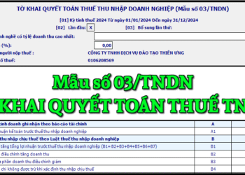 Mẫu số 03/TNDN tờ khai quyết toán thuế thu nhập doanh nghiệp theo TT 80/2021