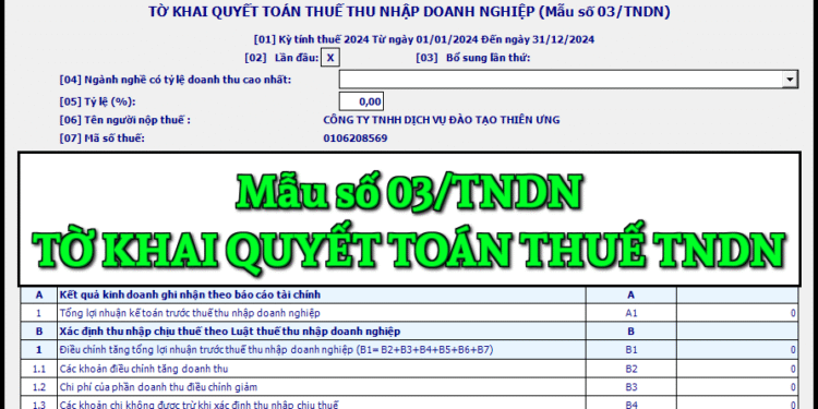 Mẫu số 03/TNDN tờ khai quyết toán thuế thu nhập doanh nghiệp theo TT 80/2021