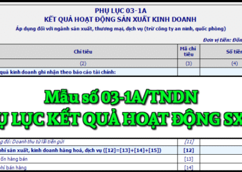 Mẫu số 03-1A/TNDN Phụ lục kết quả hoạt động sản xuất kinh doanh theo TT 80/2021