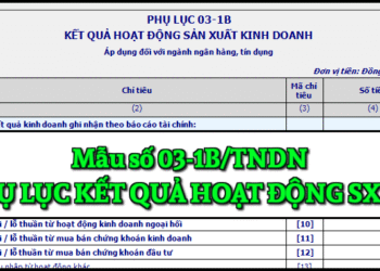 Mẫu số 03-1B/TNDN Phụ lục kết quả hoạt động sản xuất kinh doanh theo TT 80/2021