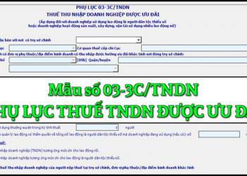 Mẫu số 03-3C/TNDN Phụ lục thuế thu nhập doanh nghiệp được ưu đãi theo TT 80/2021
