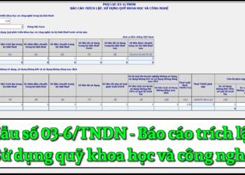 Mẫu số 03-6/TNDN Báo cáo trích lập, sử dụng quỹ khoa học và công nghệ theo TT 80/2021
