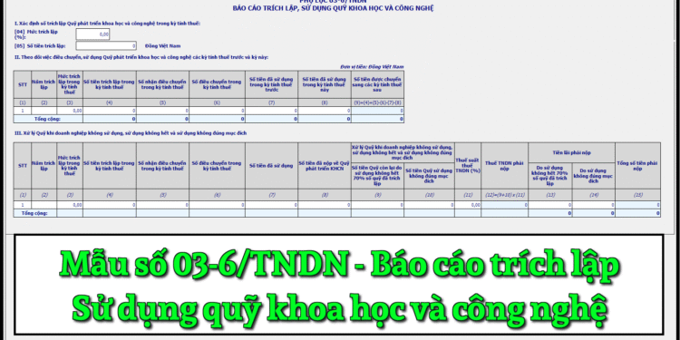 Mẫu số 03-6/TNDN Báo cáo trích lập, sử dụng quỹ khoa học và công nghệ theo TT 80/2021