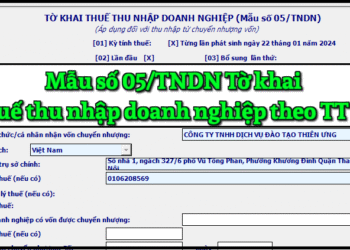 Mẫu số 05/TNDN Tờ khai thuế thu nhập doanh nghiệp theo TT 80/2021