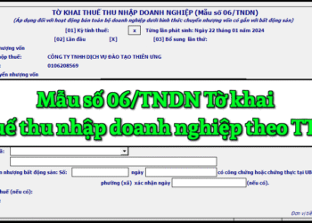 Mẫu số 06/TNDN Tờ khai thuế thu nhập doanh nghiệp theo TT 80/2021