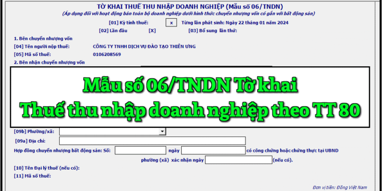 Mẫu số 06/TNDN Tờ khai thuế thu nhập doanh nghiệp theo TT 80/2021