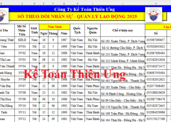 Cách lập sổ quản lý lao động theo nghị định 145 mới nhất năm 2025