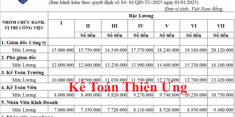 Mẫu thang bảng lương 2025 Excel của Cty TNHH, Cổ phần