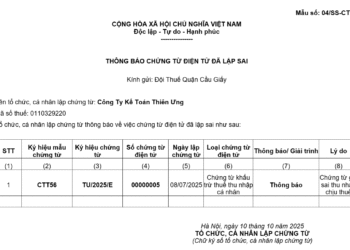 Mẫu 04/SS-CTĐT Thông báo chứng từ điện tử đã lập sai