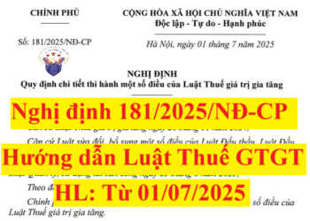 Nghị định 181/2025/NĐ-CP hướng dẫn Luật Thuế GTGT có hiệu lực từ ngày 01/7/2025