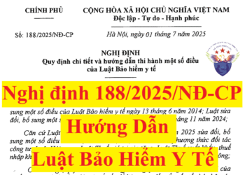 Nghị định 188/2025/NĐ-CP hướng dẫn Luật Bảo hiểm y tế