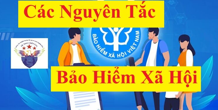 Các nguyên tắc bảo hiểm xã hội mà người tham gia cần biết