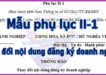 Mẫu Phụ lục II-1 theo Thông tư 01/2021 mới nhất