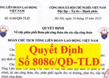 Quyết định 8086/QĐ-TLĐ hướng dẫn thu đoàn phí công đoàn 2024