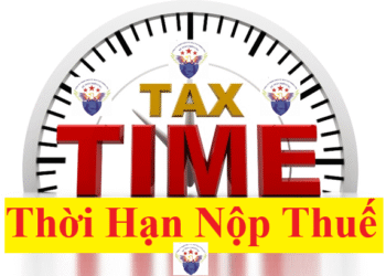 Quy định về thời hạn nộp thuế 2025 theo Luật quản lý thuế