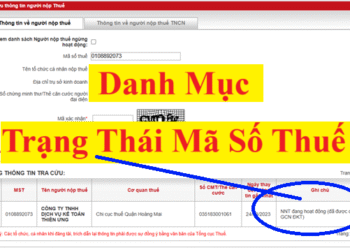 Danh mục trạng thái mã số thuế theo Thông tư 86/2024/TT-BTC