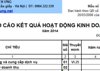 Mẫu báo cáo kết quả hoạt động kinh doanh theo QĐ 15
