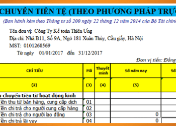 Mẫu báo cáo lưu chuyển tiền tệ theo Thông tư 200 và 133