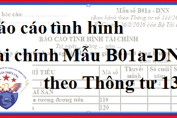 Mẫu Báo cáo tình hình tài chính theo Thông tư 133 – Cách lập